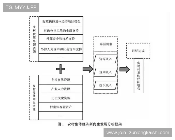 尊龙集团有限公司的财务状况揭示了什么样的发展潜力